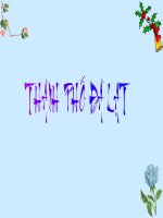 thành phố đà lạt