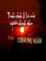 Tình cảnh lẻ loi của người chinh phụ