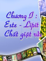 ONTHI HKI 12 CHUONG ESTE