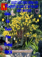 Chuyện người con gái Nam Xương