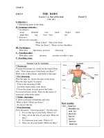 Lesson Plan (Unit 9: The body)