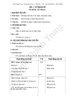 Ga mi thuat 2 (ca nam)