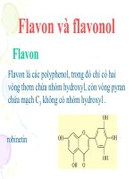 báo cáo hợp chất thiên nhiên 12