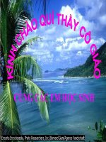 Chương I - Bài 7: Phép vị tự