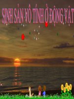 sinh san vo tinh o dọng vat