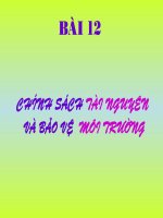Bài 12: Chính sách tài nguyên môi trường