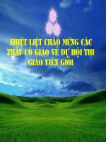 Ôn tập chương III: Thống kê