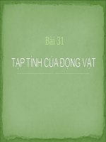 TẬP TÍNH CỦA ĐỘNG VẬT