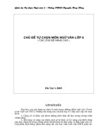 Giáo án tự chọn 8