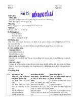 Bài 25 Biến dạng của lá