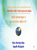 Tiết 29: Phương pháp nghiên cứu di truyền người