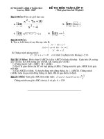 Đề thi nửa Học Kỳ 2 lớp 11