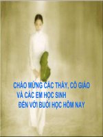 Một thời đại trong thi ca (có sửa chữa lại)