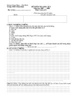 Đề kiểm tra lịch sử lớp 8 HK I