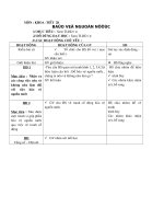 KHOA HOC4-TIET 28-39