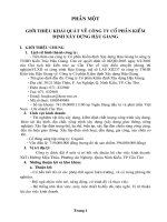 Báo cáo TT Kế Toán (Cty cổ phần KĐ XD Hậu Giang)