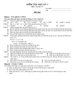 Kiểm tra học kỳ 1 - MS04