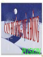 Con đường mùa Đông