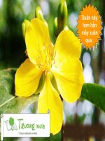 Thơ chúc Tết để gửi cho những người bạn của bạn sự ngạc nhiên đầy thú vị, may mắn trong những ngày đầu năm.