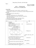 G/A Mỹ thuật lớp 4( Cả năm )