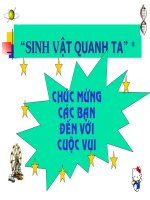 ĐỐ VUI SINH HỌC- VƯỢT CHƯỚNG NGẠI VẬT