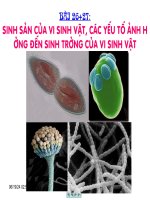 Bài 26 : Sinh sản và cá yếu tố ảnh hưởng tới vi sinh vật