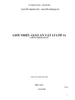 Giáo án lớp 11