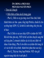 on tap : Nguyen phan