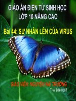 Su nhan len cua virut