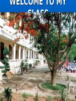 Unit 3: A trip to the countryside