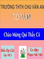Tiết 22, 23: Tấm cám
