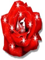 ảnh động đẹp