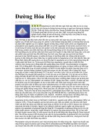 Đường Hóa Học