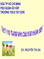 Tiết 101: Câu trần thuật đơn