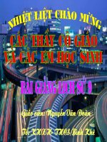 Tiết 11: Nhật Bản