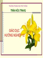 Chu de 5_Tu van chon nghe