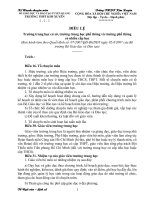 KH Tổ Ngữ văn-Lịch sử