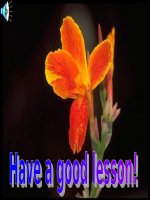 Unit 12. Leson 6: Sports and pastimes