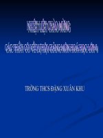 Hoi giang Huyen 2008