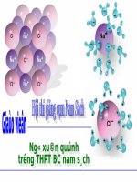 Hoa - Day dien hoa KL