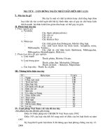 Ngoại khóa: Ma túy - con đường ngắn nhất dẫn đến cái chết