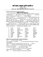 Đề thi HSG Tiếng Anh 8 - TT