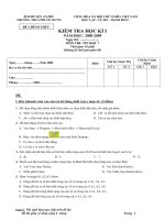 đề thi hkI Tin Học 7