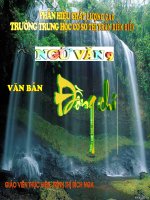 Dong chi - Chinh Huu