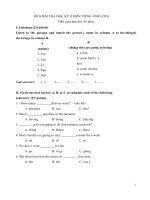 Đề thi HK_II_Anh 6 (5)