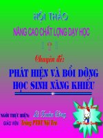 Chuyên đề - Nâng cao chất lượng dạy học (Phát hiện bồi dưỡng HSG)