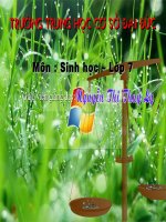 Hoi Giang Cap Huyen-Cuc Hot