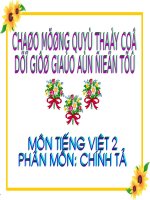 Chinh ta 2