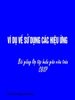 Ví dụ hiệu ứng PP