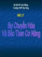 Bài 17: Sự chuyển hóa và bảo toàn cơ năng